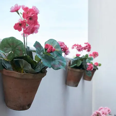 公寓 Sanders Platan - Petite One-bedroom In Amazing Frederiksberg *