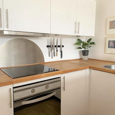 Sanders Platan - Petite One-bedroom In Amazing Frederiksberg * 哥本哈根