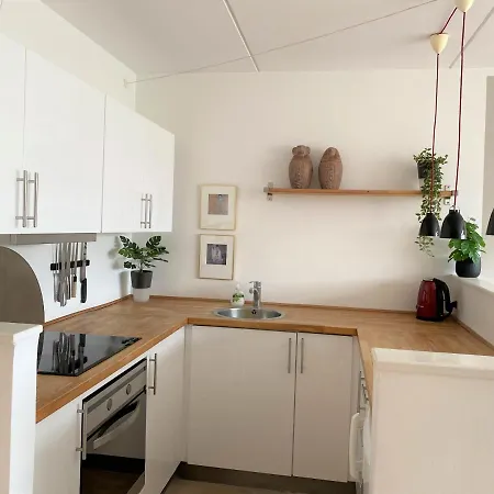 Sanders Platan - Petite One-bedroom In Amazing Frederiksberg Apartament Kopenhaga